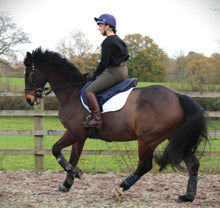 The Tack Pack Bundle - Ride On Jump/GP Saddle Cover, Stirrup Covers & Bridle Bag