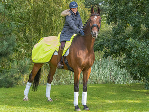 Hi-Vis Winter Weight Waterproof Ride - On Exercise Sheet